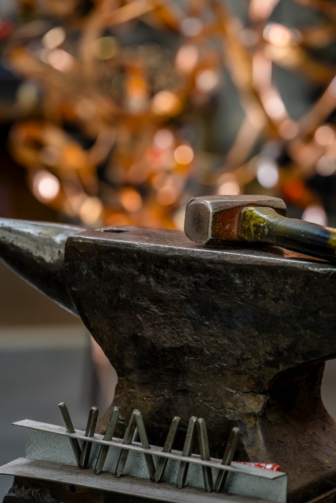 Kroonjuweel01042026ZA-32